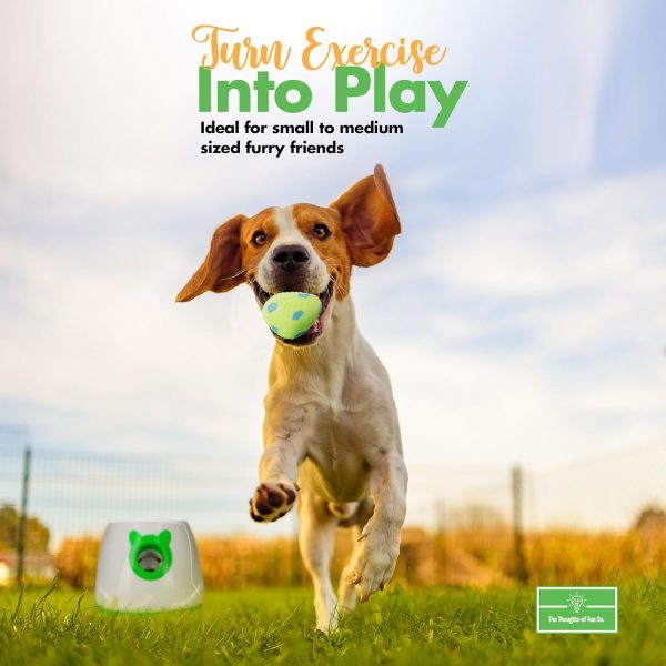 Automatic Dog Ball Launcher THE THOUGHTS OF FUN CO Pet Toy-6