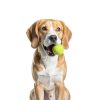 DDQ Dog Tennis Balls 12 Pack Durable All Weather Fetch-2
