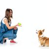 Wortade Small Dog Tennis Balls Automatic Launcher Compatible-1