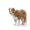 ENTROY Automatic Ball Launcher Dog Toy Pet Supplies-6