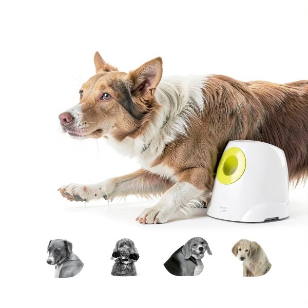 ALL FOR PAWS Automatic Dog Toy Ball Launcher Interactive-7