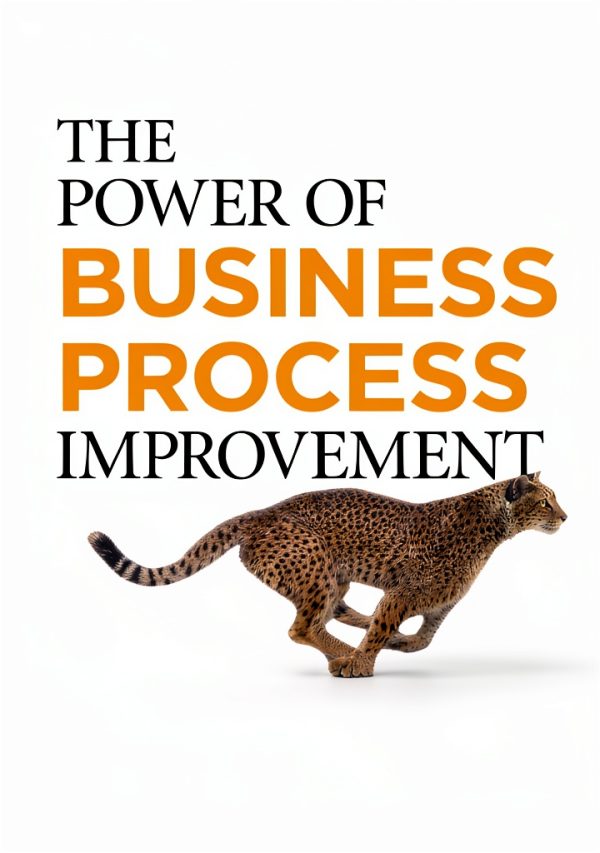 AMACOM Business Strategy Book Kindle Edition Quality Control-0