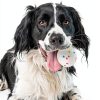 Airshooter Dog Ball Launcher Bite Proof Durable Fetch Toy-3