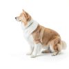 PALULU Automatic Dog Ball Launcher 3 Ball Load Adjustable-1