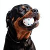 Airshooter Dog Ball Launcher Bite Proof Durable Fetch Toy-2
