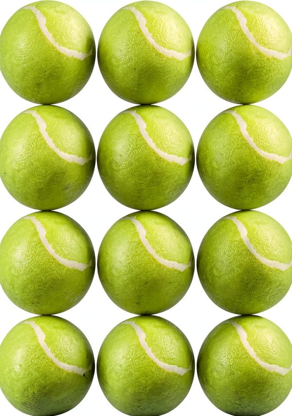 DDQ Dog Tennis Balls 12 Pack Durable All Weather Fetch-3
