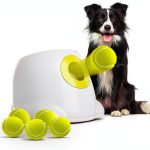 ALL FOR PAWS Automatic Dog Toy Ball Launcher Interactive-0