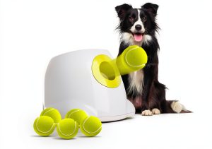 ALL FOR PAWS Automatic Dog Toy Ball Launcher Interactive-0