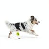 ALL FOR PAWS Automatic Dog Ball Launcher Rechargeable-1