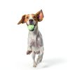Automatic Dog Ball Launcher THE THOUGHTS OF FUN CO Pet Toy-5