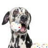 AFP Automatic Dog Ball Launcher Rechargeable Fetch Toy-4