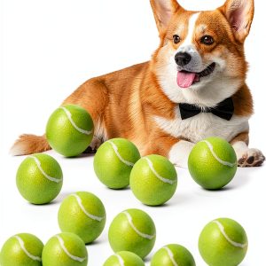 DDQ Dog Tennis Balls 12 Pack Durable All Weather Fetch-0