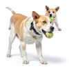 Wortade Small Dog Tennis Balls Automatic Launcher Compatible-2