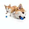 TJYAEKLTD Interactive Dog Ball Smart Mode Durable Material-1