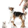 H&H Automatic Dog Ball Launcher Adjustable Range Portable-4