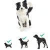 SOCO Automatic Dog Ball Launcher Remote Control Fetch Toy-6