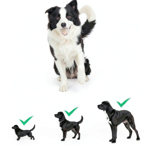 SOCO Automatic Dog Ball Launcher Remote Control Fetch Toy-6
