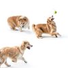 SOCO Automatic Dog Ball Launcher Remote Control Fetch Toy-5