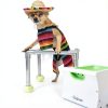iDogmate Automatic Dog Ball Launcher Remote Control-1