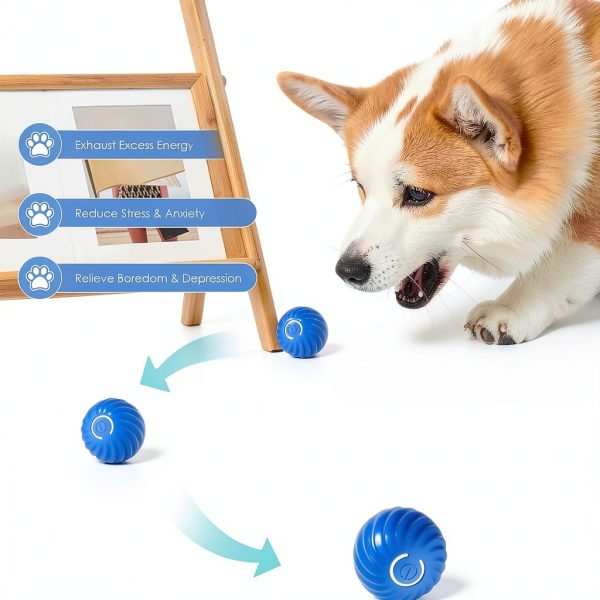 TJYAEKLTD Interactive Dog Ball Smart Mode Durable Material-5
